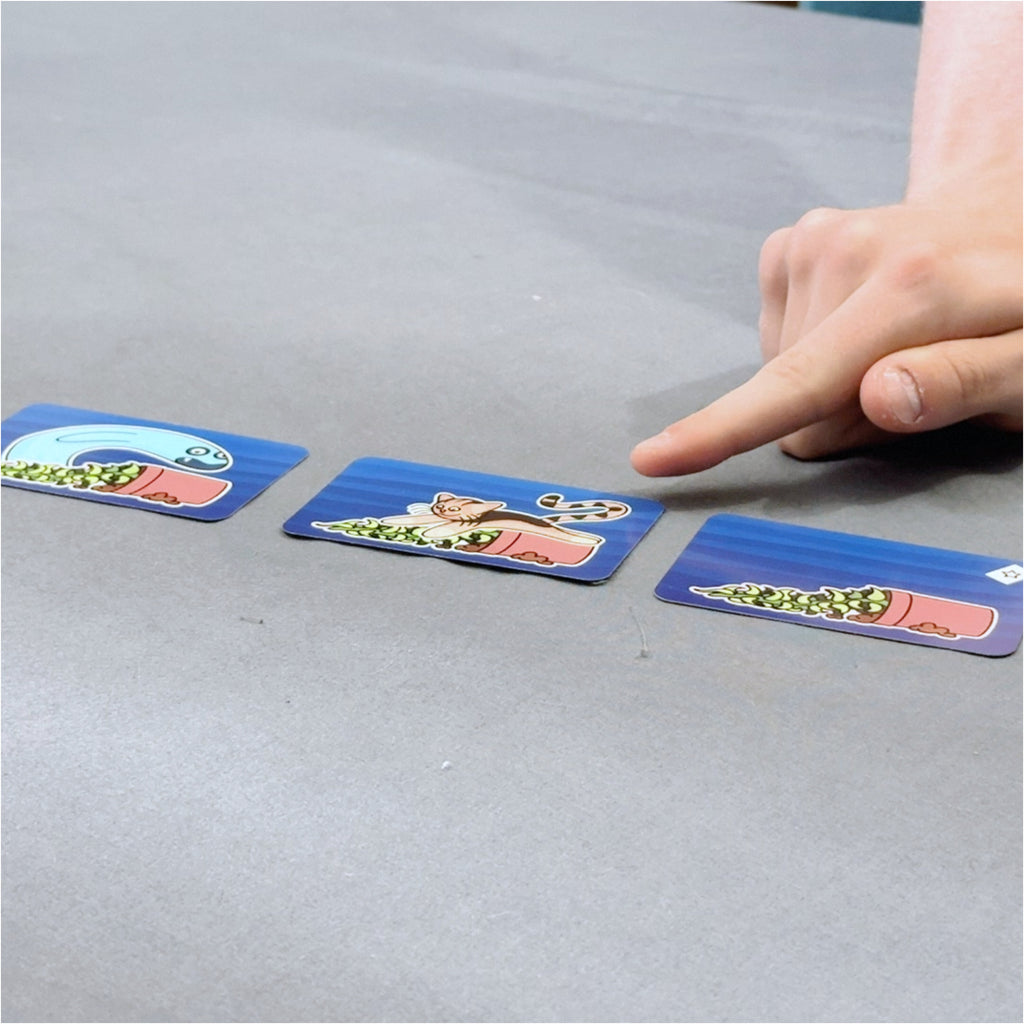 Apurritions travel card game play guess again