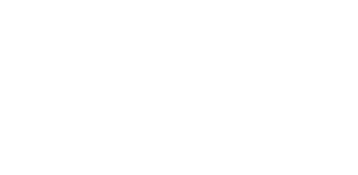 visionmonster